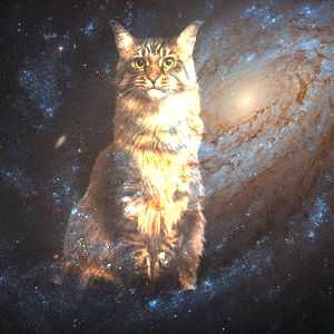 An image of an ethereal cat in space!